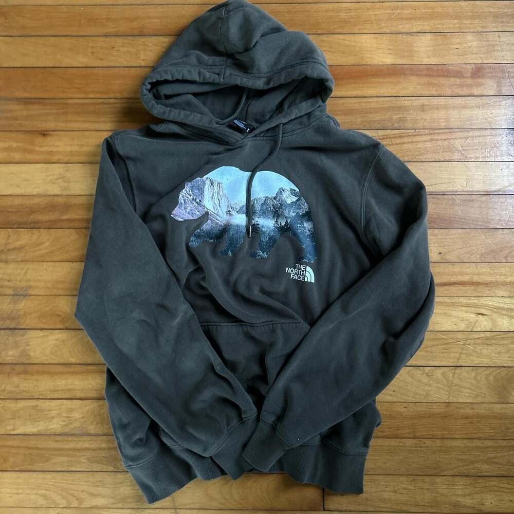 The North Face Bear Graphic Hoodie - Vintage Y2K